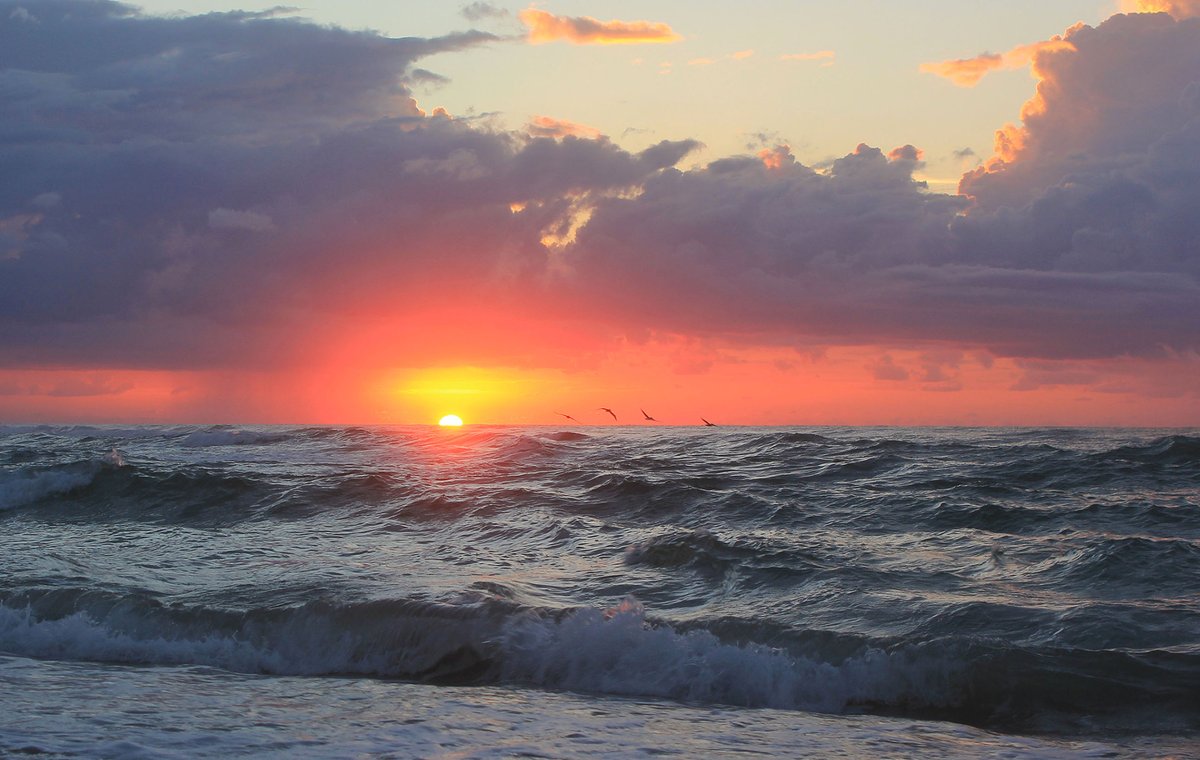 CJMaitland1's tweet image. good morning, y'all
 #sunrise #topsailisland #photography