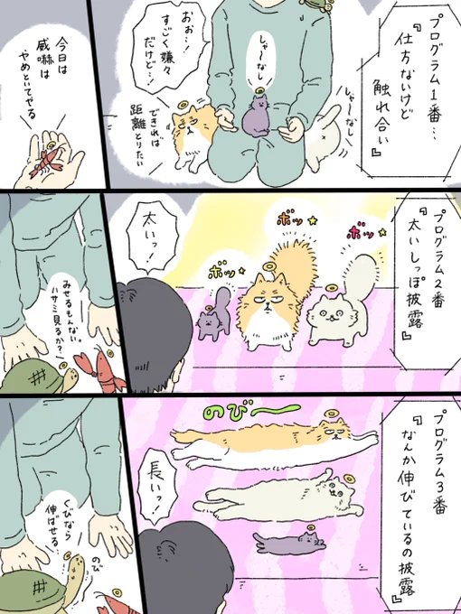 天国での暮らしはどうですか「歴代ペットたちから」(2/3) 