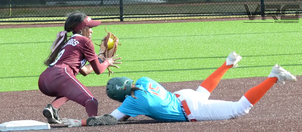 vrgphotography's tweet image. FAMU vs Alabama A&amp;amp;M! 

#famusoftball #SWAC #SWACSoftball #VRGPhotography #FAMU