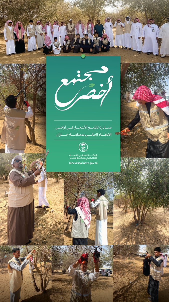 المركز الوطني لتنمية الغطاء النباتي ومكافحة التصحر tweet media