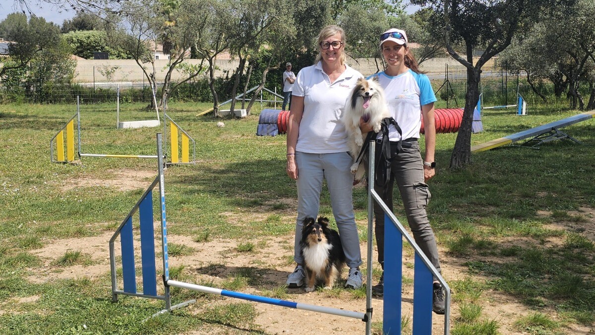 Journée du chien à Grans : animations, prévention et passion au rendez-vous
👉 l.laprovence.com/X5Vl