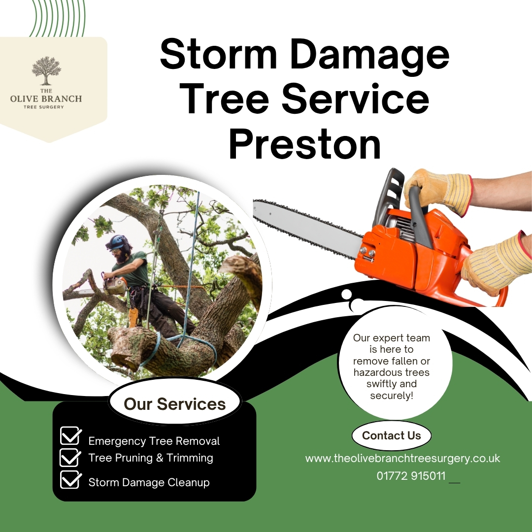 theolivebranche's tweet image. Storm Damage Tree Service Preston provides fast and reliable tree removal and emergency storm damage services across Preston and nearby areas.

theolivebranchtreesurgery.co.uk
01772 915011

#TreeServicePreston #StormDamage #TreeRemoval #EmergencyTreeService