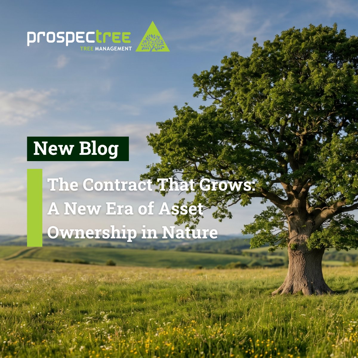 A New Era of Asset Ownership in Nature 🌳

Discover how Modern Asset Ownership is setting a new standard for physical assets through Lifecycle Verification and the Lease of Use framework.

Read the full article on our blog to understand how we link legal contracts with verifiable
