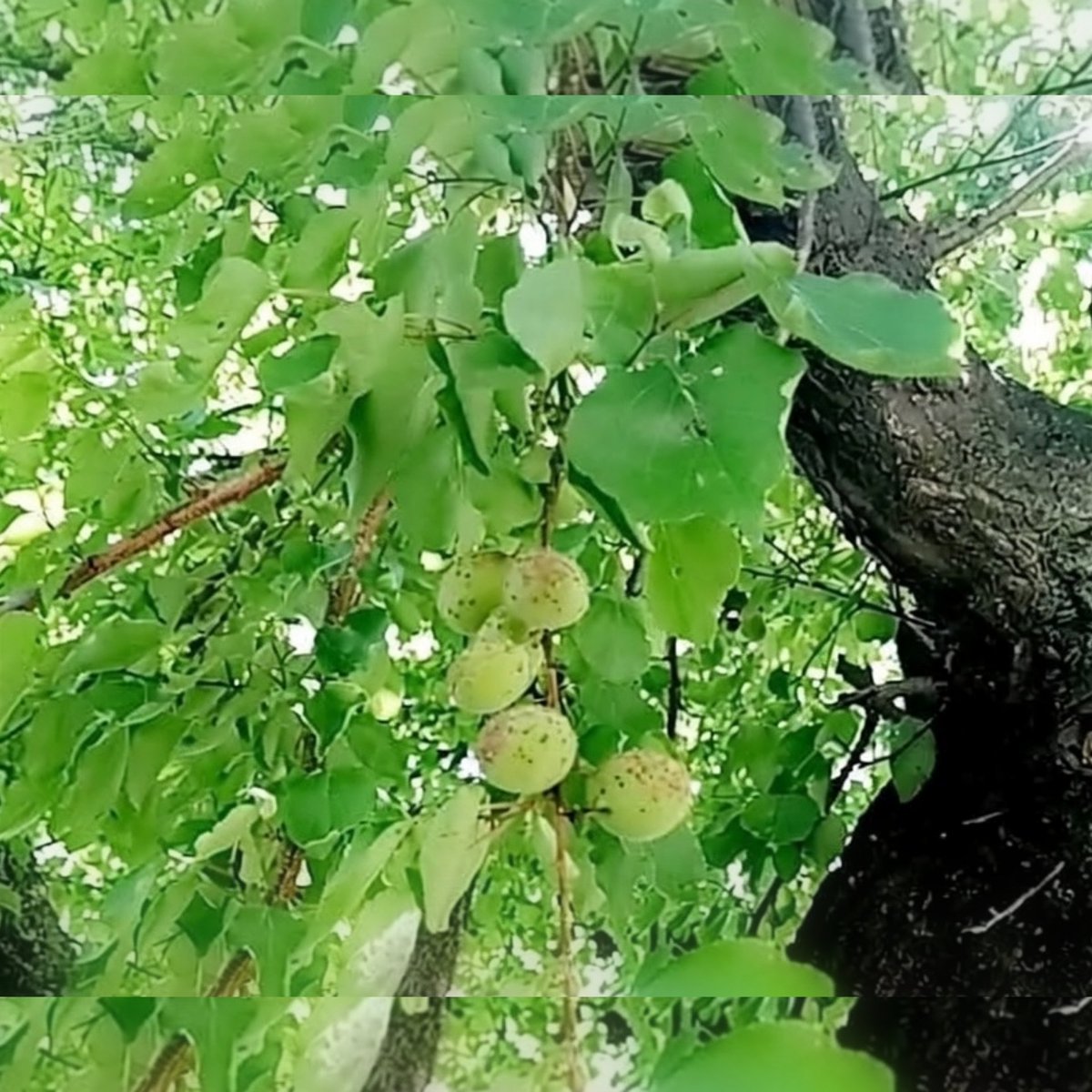 E i s h a l🦋 tweet media