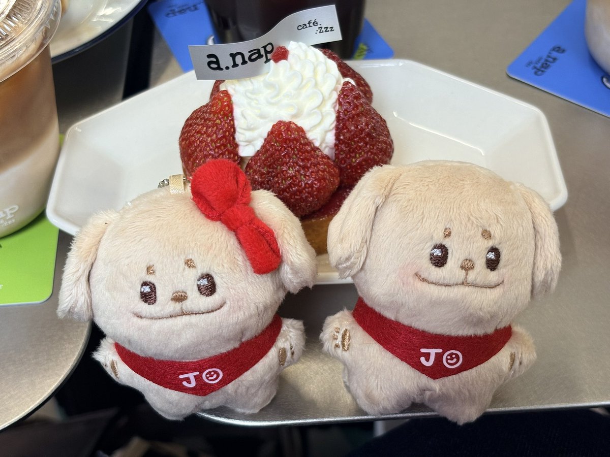 pitt3cat's tweet image. 🎀🍓🍰
@JERRIandFRIENDS  
#JAKE