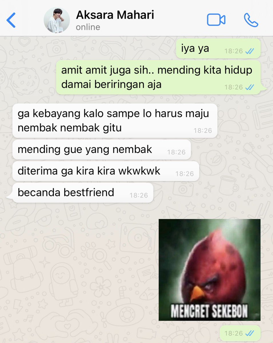 aya 🪭 tweet media