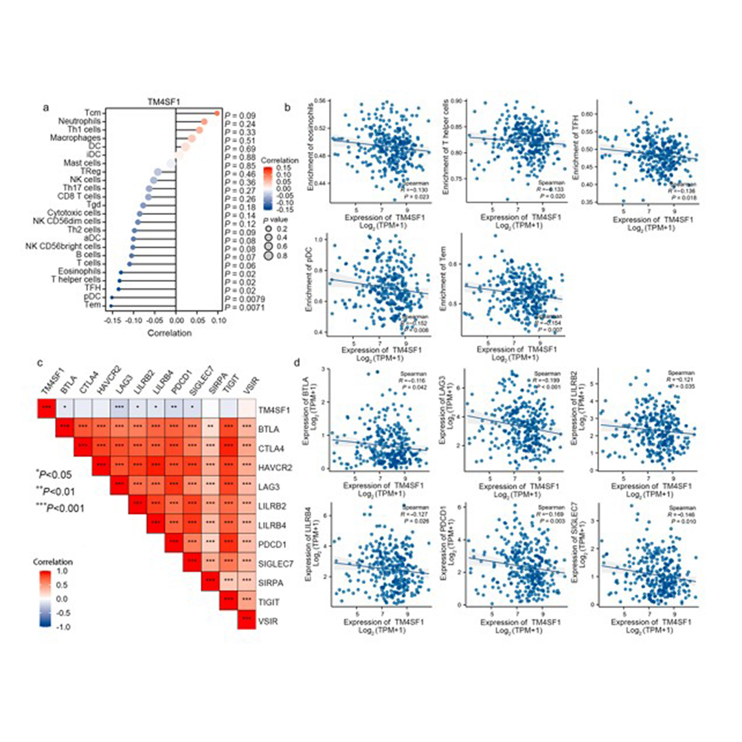 cmedicalscience's tweet image. This study investigates the associations between TM4SF1 expression and clinicopathological features in cervical cancer, contributing to a deeper understanding of its biological roles and potential impact on patient prognosis. @WHU_1893

Read: doi.org/10.1007/s11596…

#Biomarkers