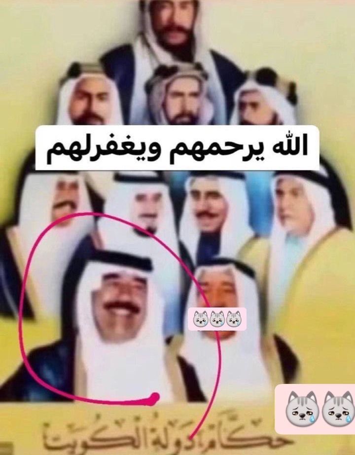 sara tweet media
