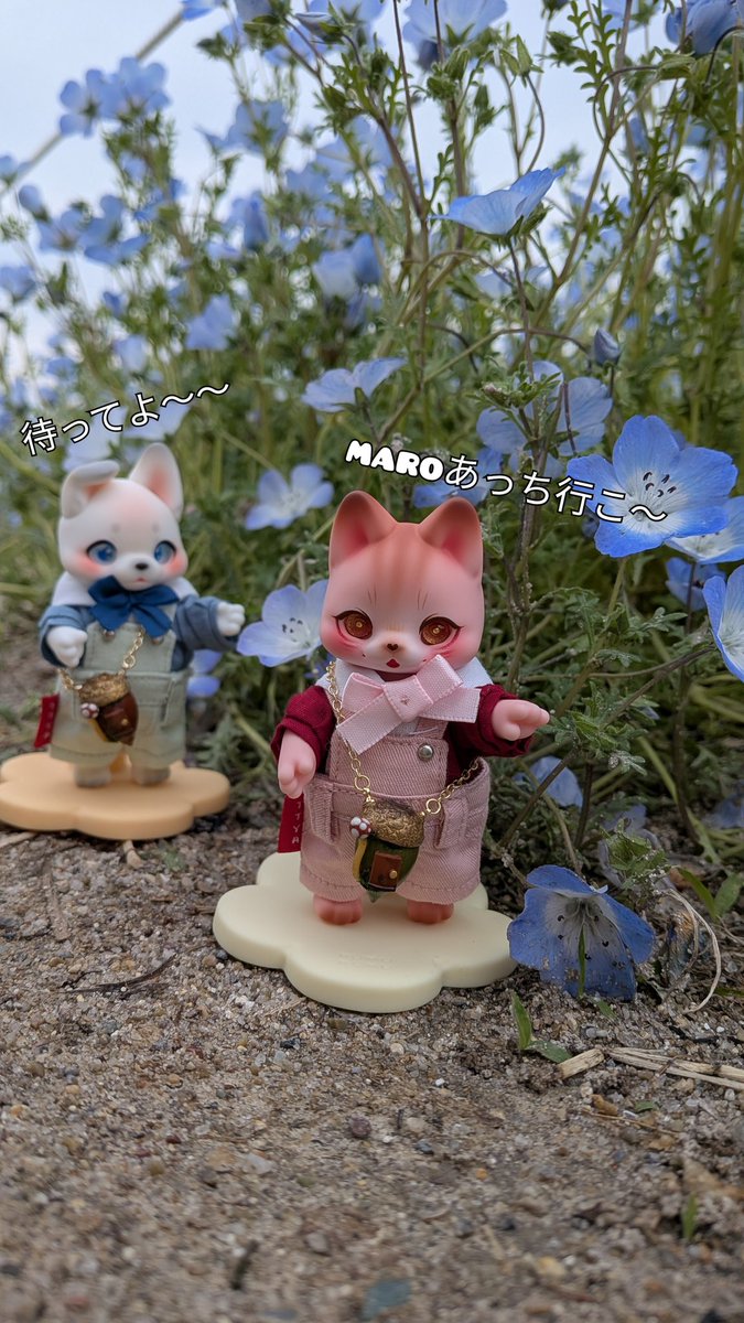 tora27mi's tweet photo. 皆でネモフィラ畑に写真撮りに行ったよ〜❁
相変わらずのカメラヘタで綺麗に撮れなかったけど、皆でお出掛け楽しかった〜💖
椅子に皆乗せたら、ギューギューになっちゃった🤣
#kumukuku
#alicetochiroru https://t.co/xAhcC26SjB