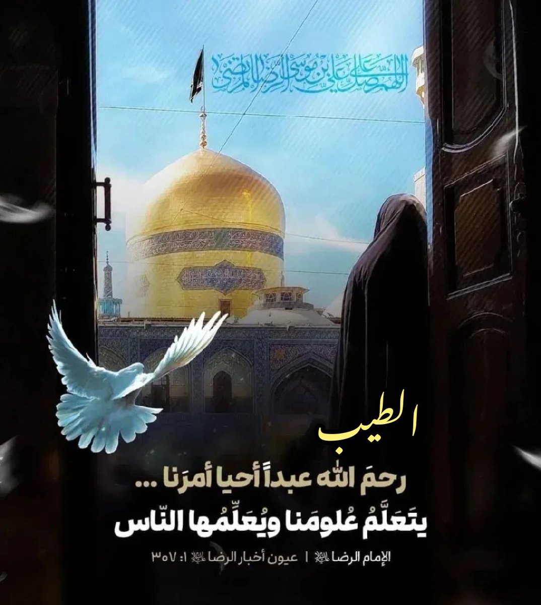 الطيب tweet media