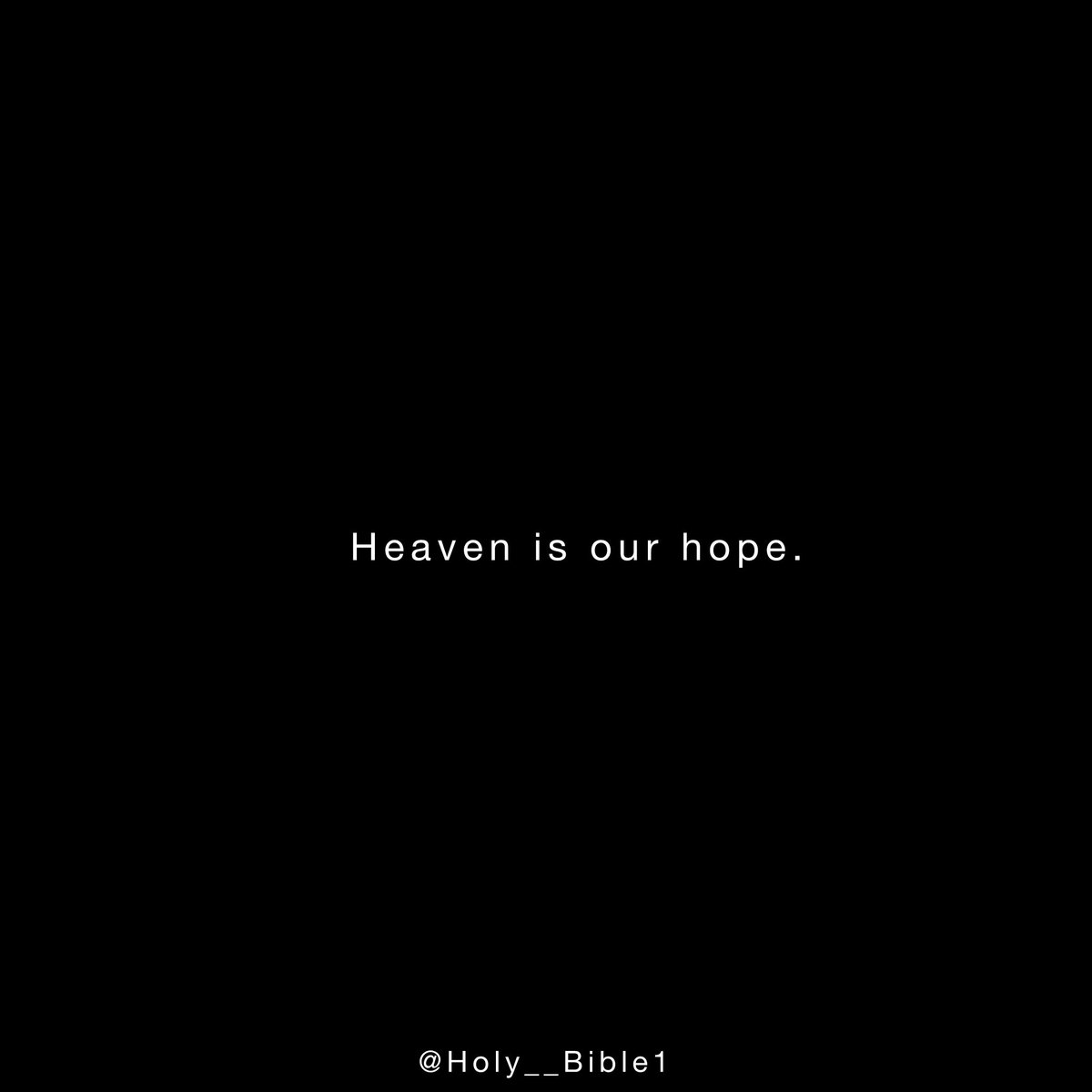 Holy Bible tweet media