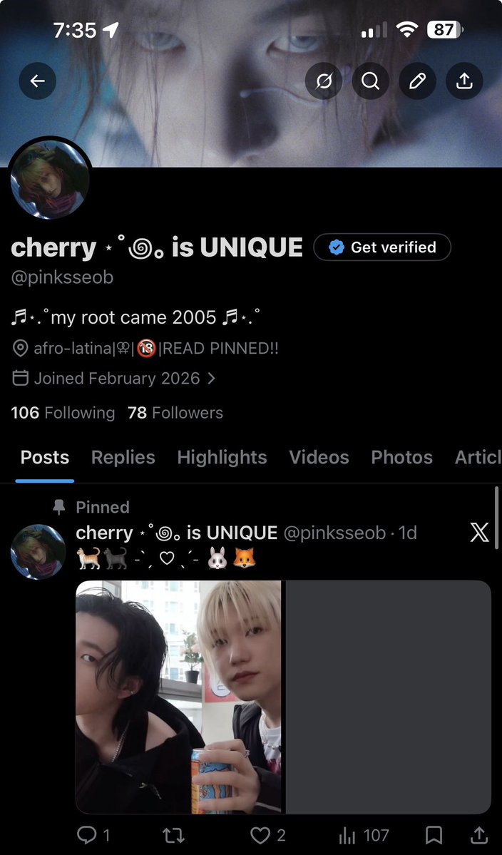 cherry ⋆˚꩜｡ is UNIQUE tweet media