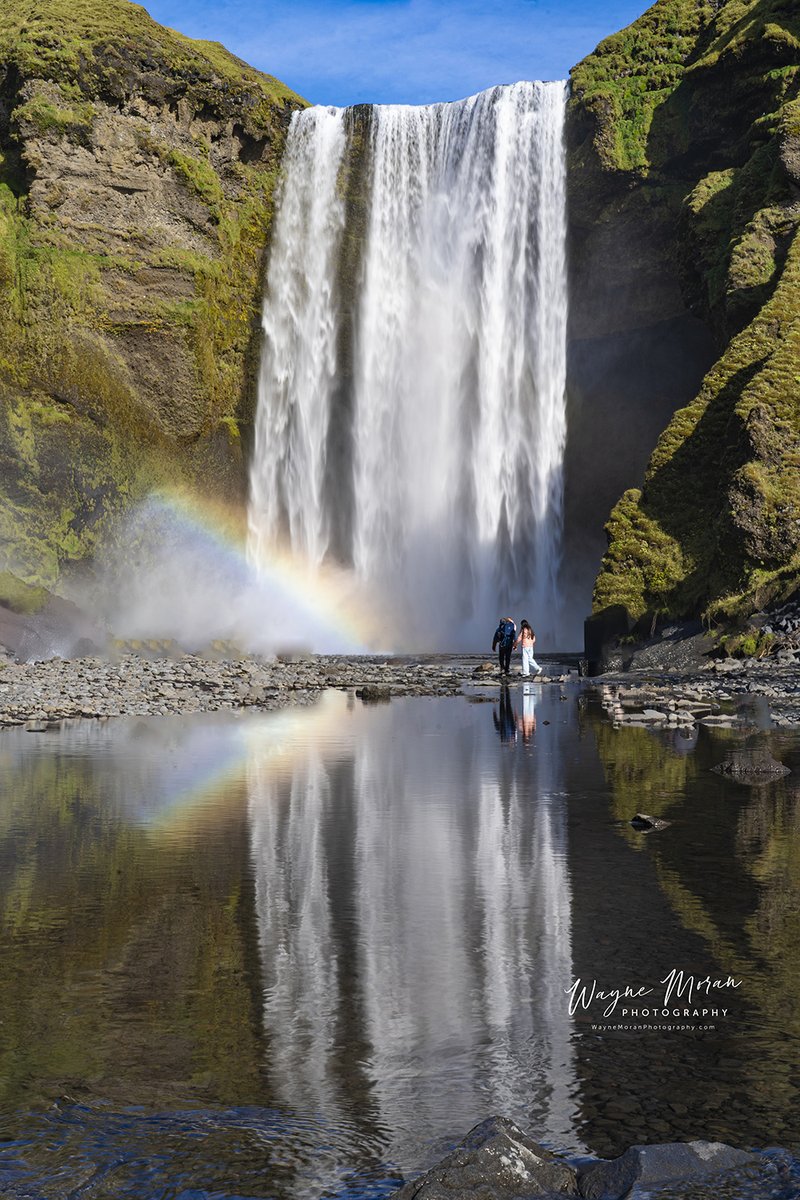 Wayne Moran Photography tweet media