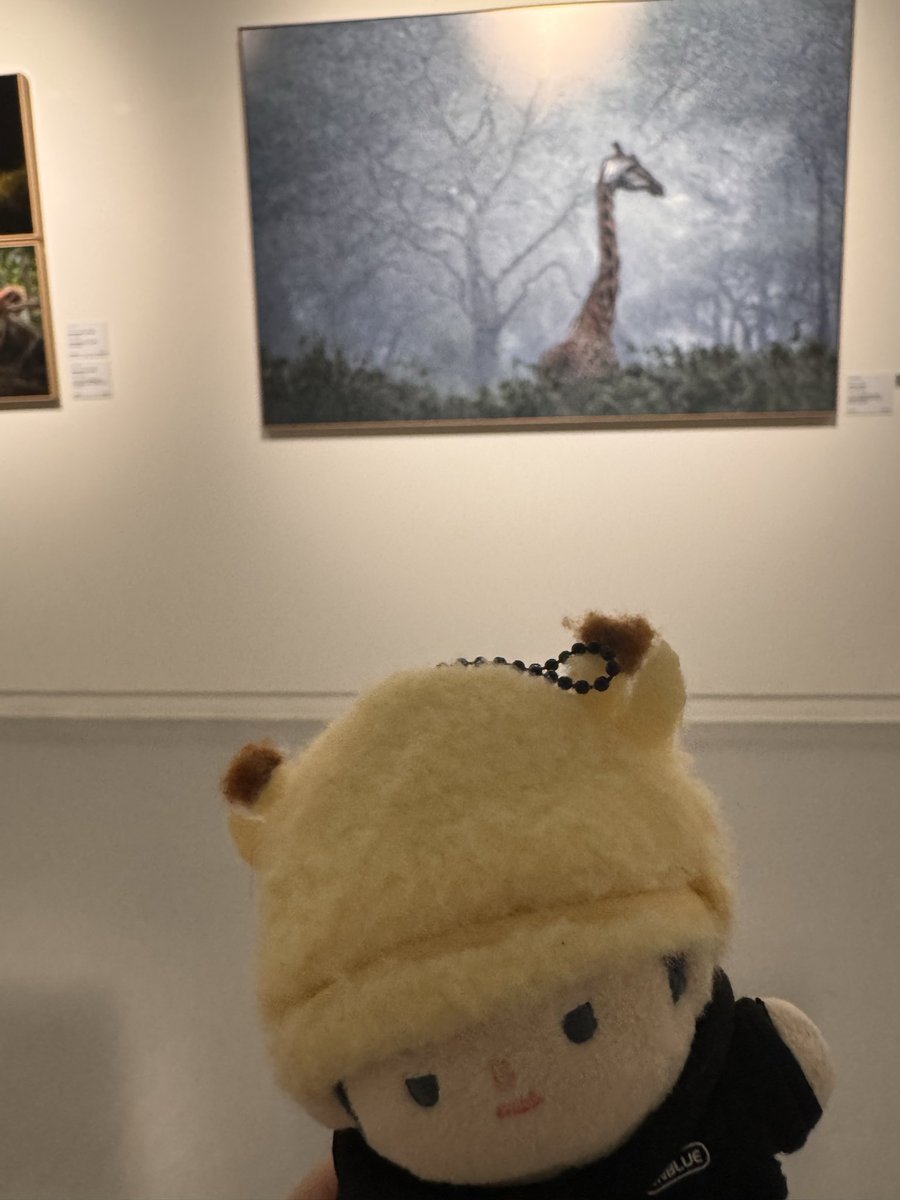 たえこ tweet media