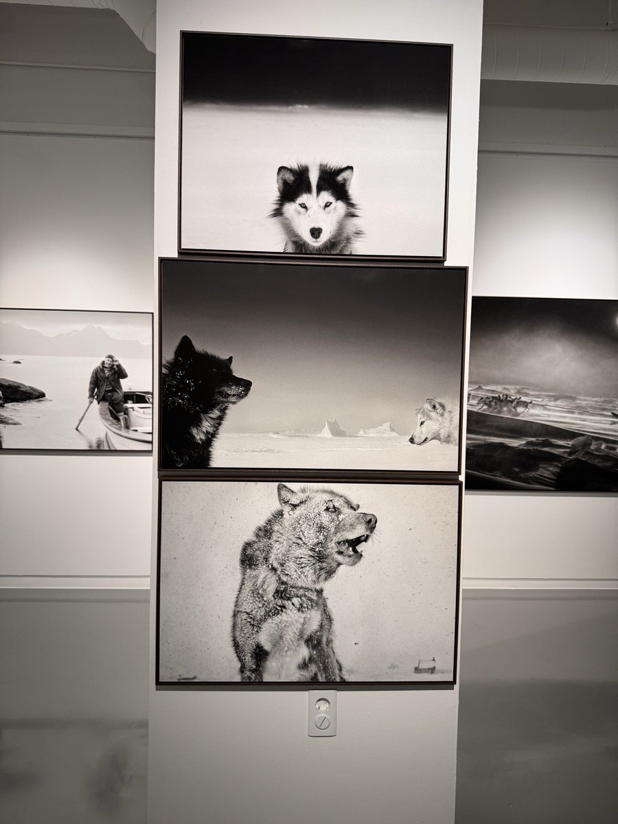 たえこ tweet media