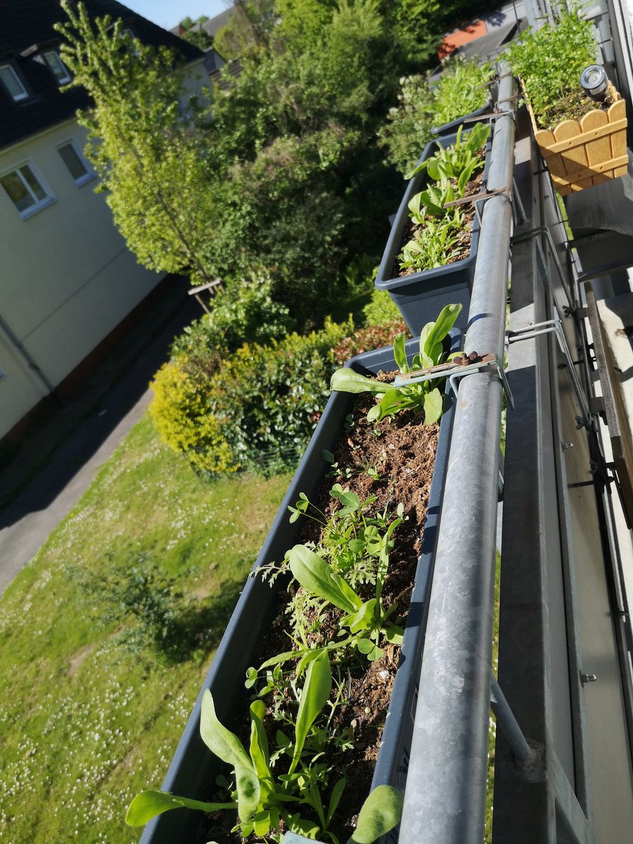 Kara KIZ Cansın💛❤️🦁 tweet media