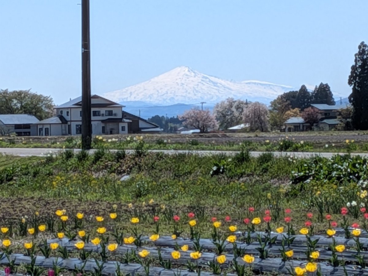 sixstar7199's tweet photo. @haname_chanoma 
写真はこちらで良かったでしょうか

秋田県側から見た鳥海山です
タイトルは春色と残雪で https://t.co/apkQSeChrL