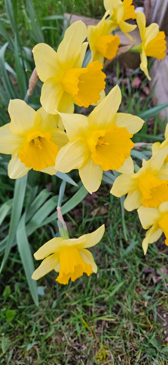 oldfarmgirlkah's tweet photo. #WorklessWednesday was off n running early today, play break between breakfast courses 😉
May your day be filled w good weather, even better health, opportunities n results 
#WorknPlaySafe today n everyday 🤗🌱🌷🏵 https://t.co/5kXobLcOIZ