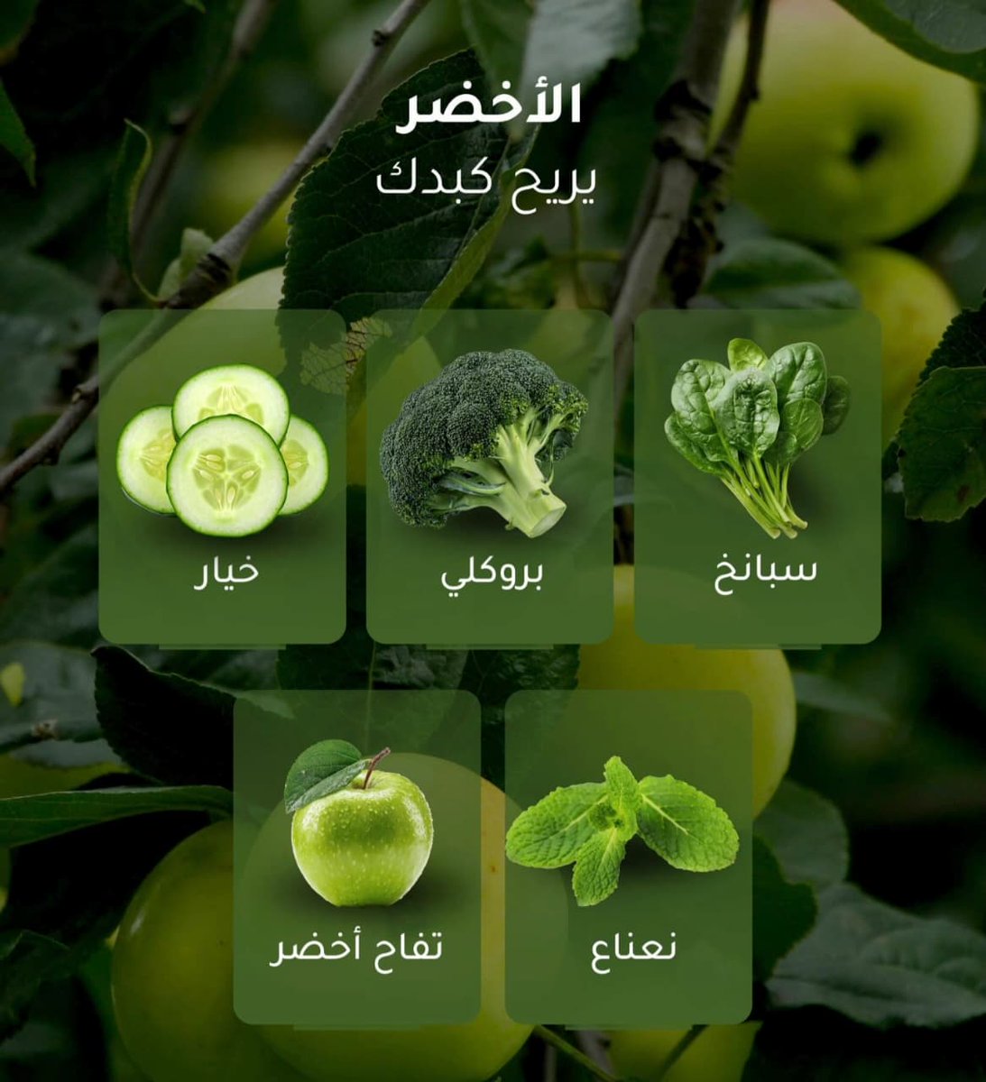 الأخضر...
