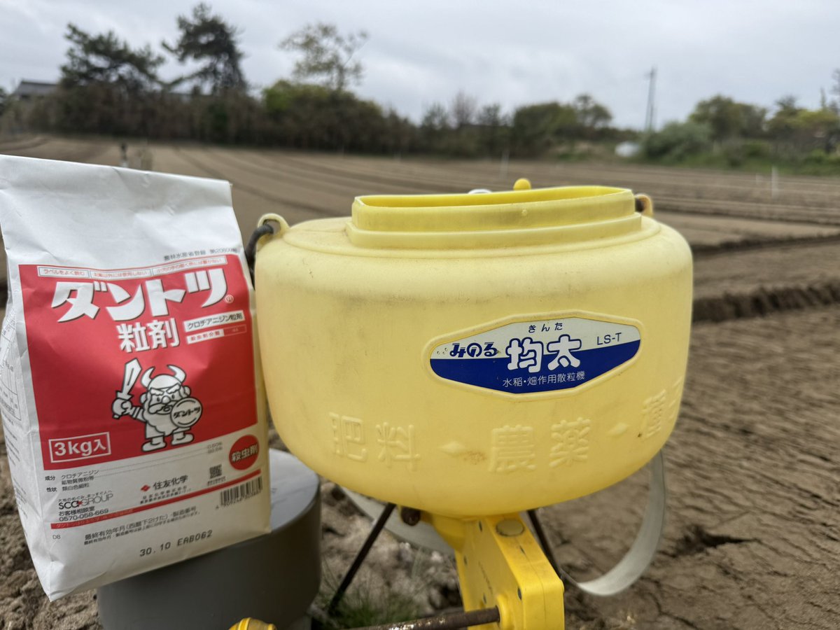 サツマイモの畑準備中。
今日は殺虫剤を散布して、明日はマルチ張り。
GW明けたら、いよいよ苗が来る。