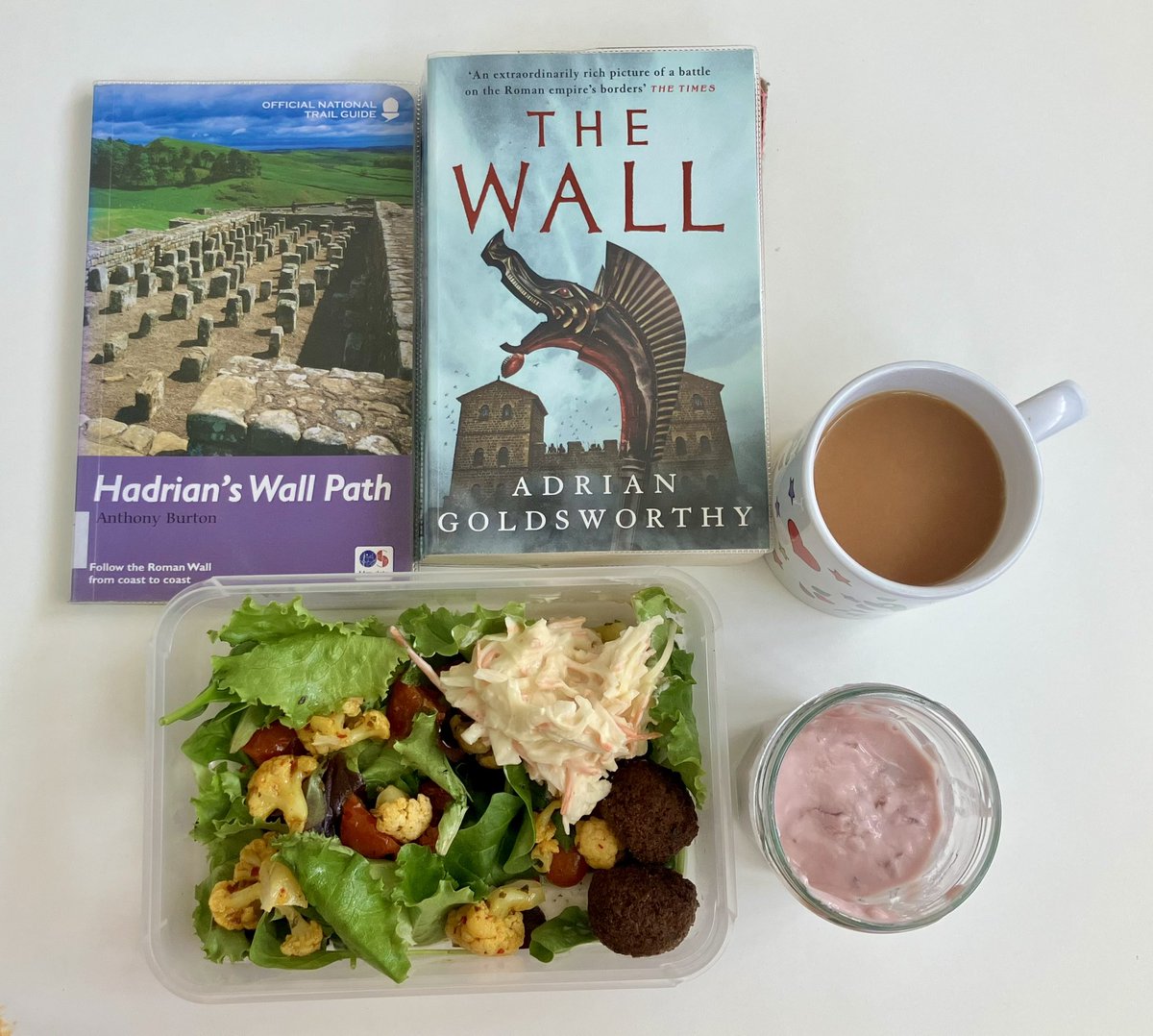 LibLadyDarllen's tweet photo. Lunch in the library today is picking up with ‘The Wall’. We have falafel salad 🥗 followed by soya yogurt w blueberries 🫐 A photo from last year’s visit to Newcastle Castle, the Garth. I’m sure there’s some recycled sections of the Wall here!
#LibraryLunch #VeganLibrarian https://t.co/f2NXf3EUH1