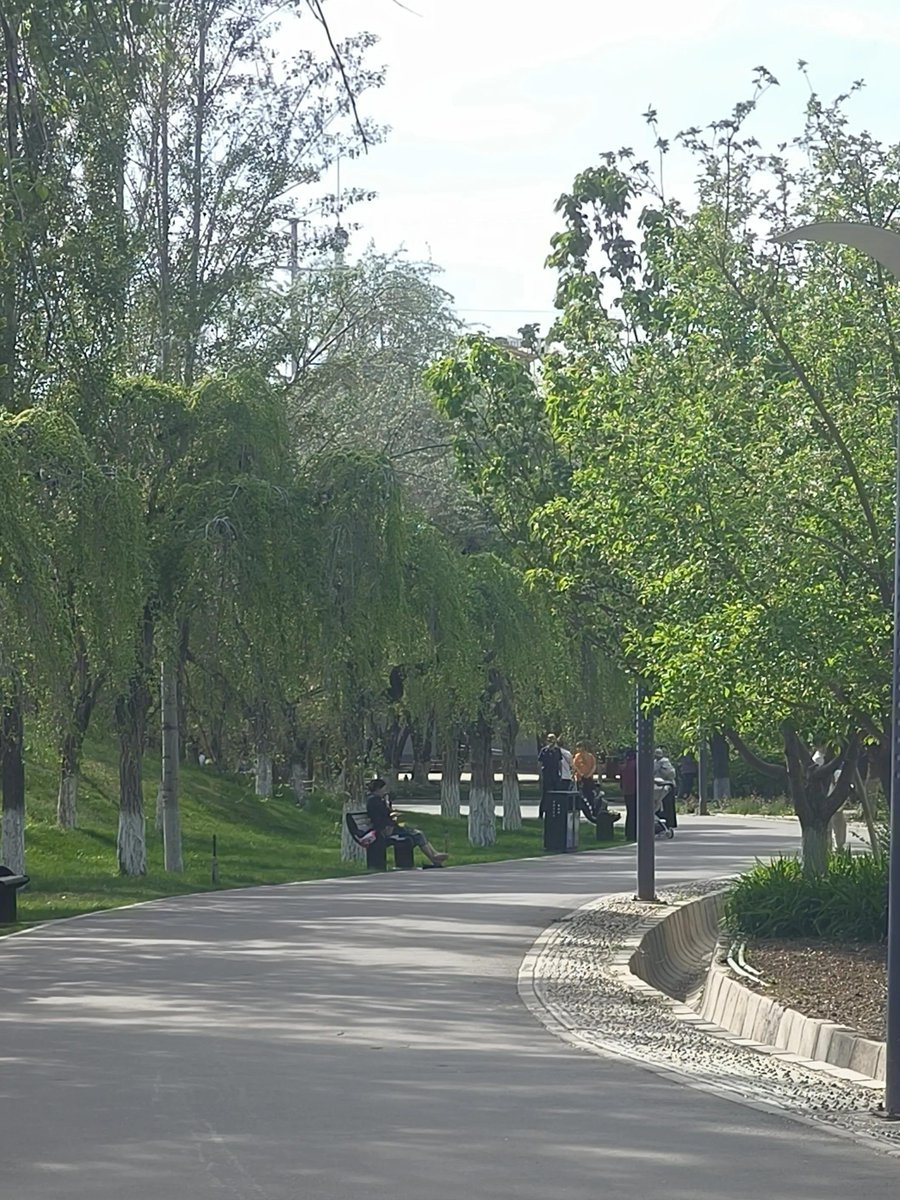 Bryan2314055775's tweet image. "Neighborly win!  Our block’s first community cleanup turned trash into smiles—shoutout to the kids who collected 20+ bags u0026 the grandma who baked cookies for all!  #NeighborLove #CommunitySpirit"