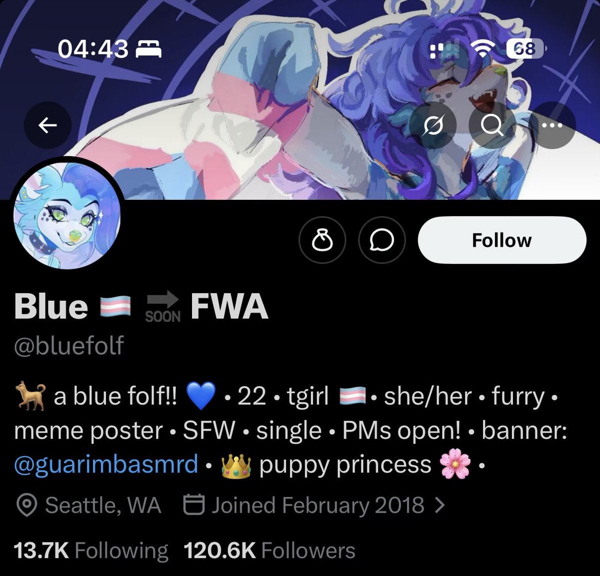 Libs of Furry tweet media