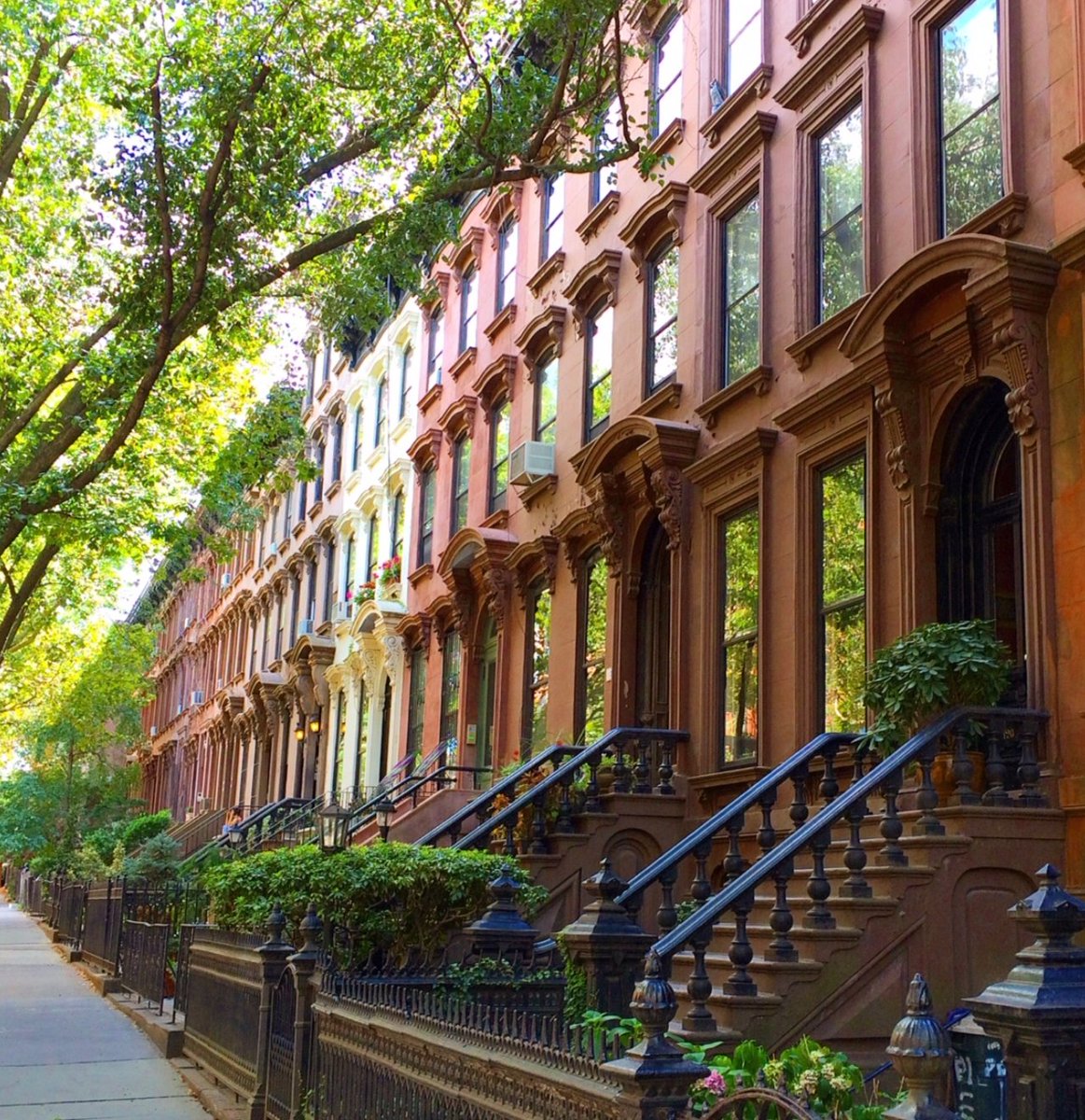 AHS SPAIN tweet media