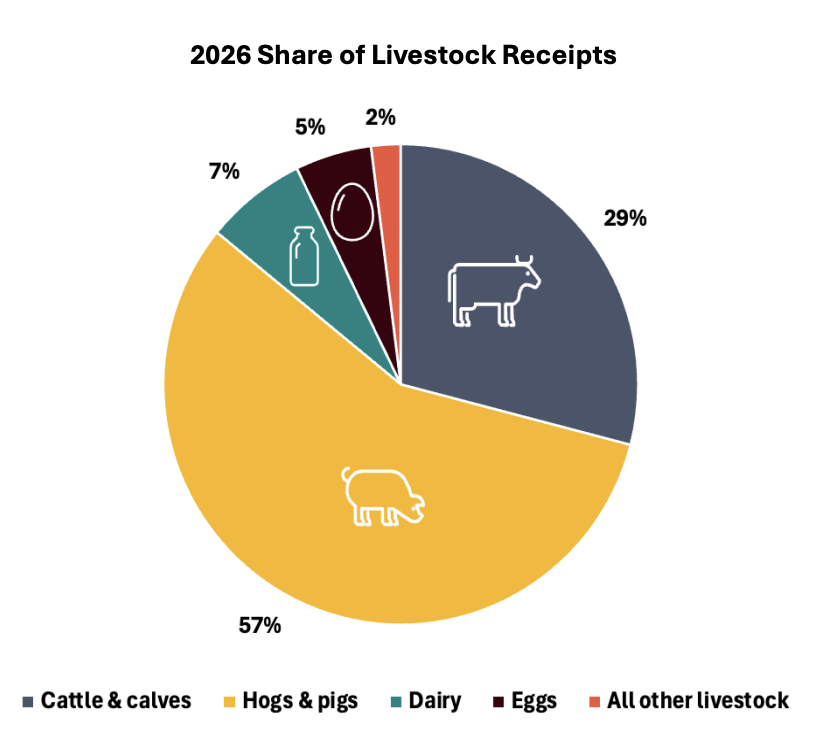 FarmPolicy's tweet image. 2/2 #Hog and #pig receipts account for 57% of all #Illinois #livestock receipts and are projected to increase $70 million (3%) to a record $2.39 billion in 2026.

From the @RaFFfinance: tinyurl.com/mex79mw4