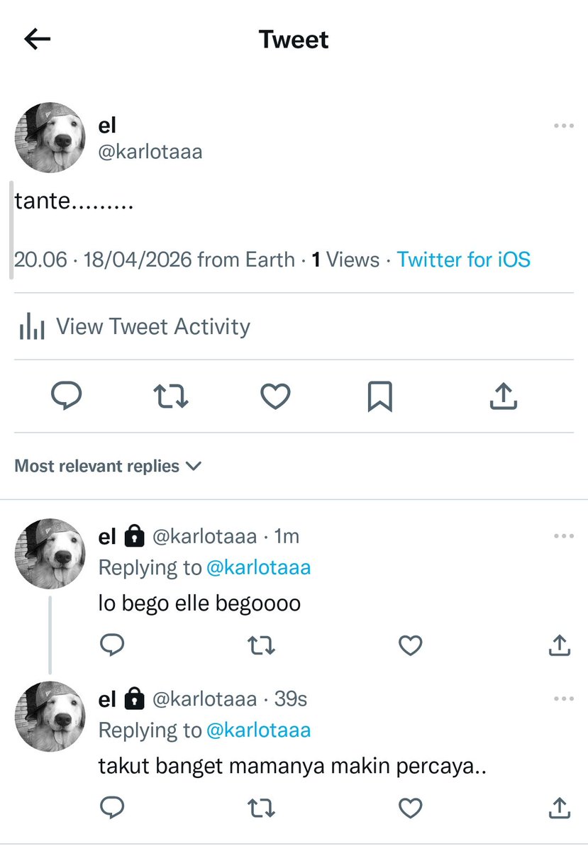 pramoedya lucy tweet media