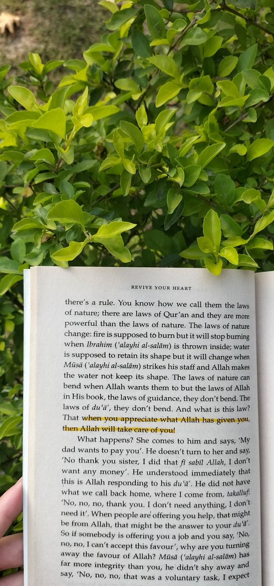 khanensha19's tweet photo. 🍃 https://t.co/C3oWDcHcSg
