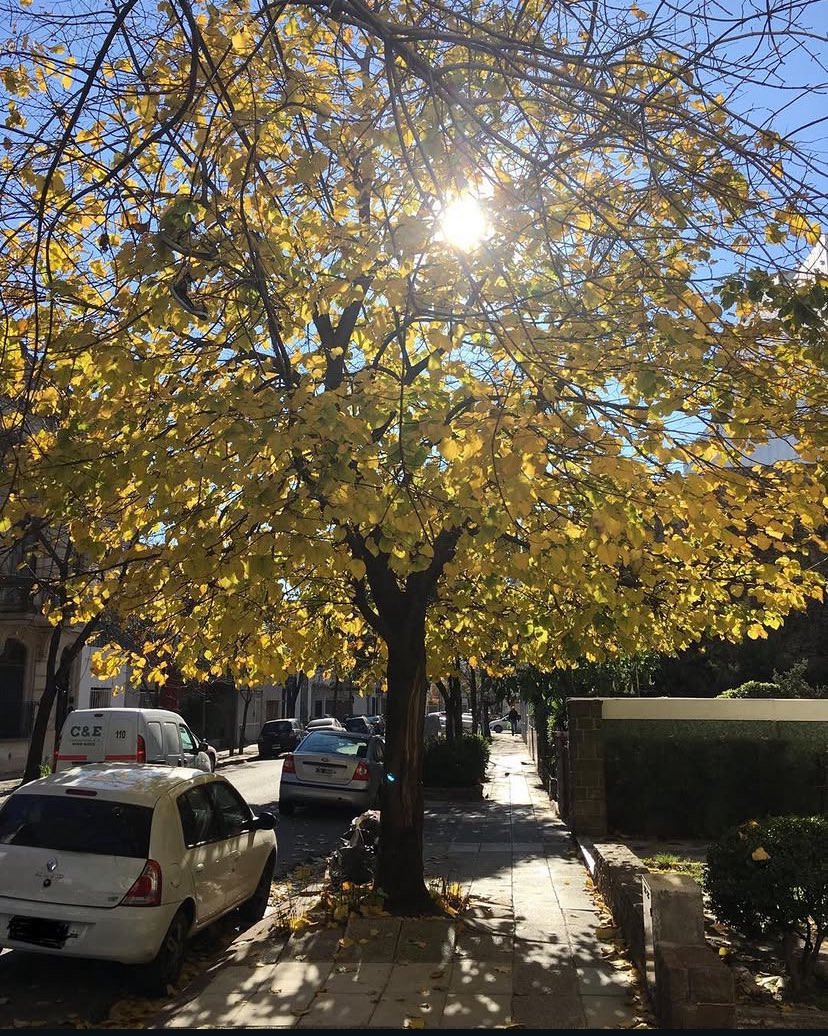 Nora Ce 🇦🇷 tweet media