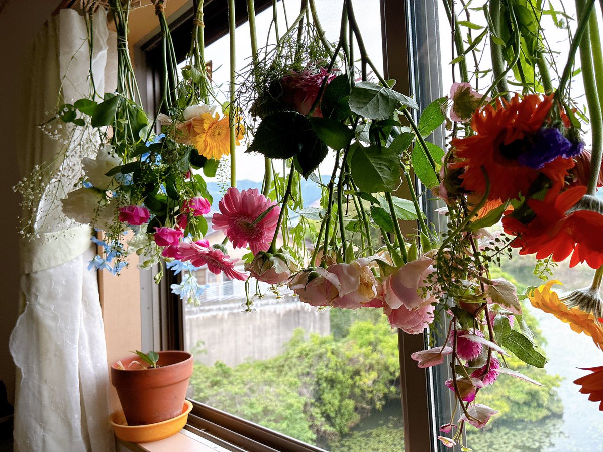TeaSalonALICE メイド博H1-2 tweet media