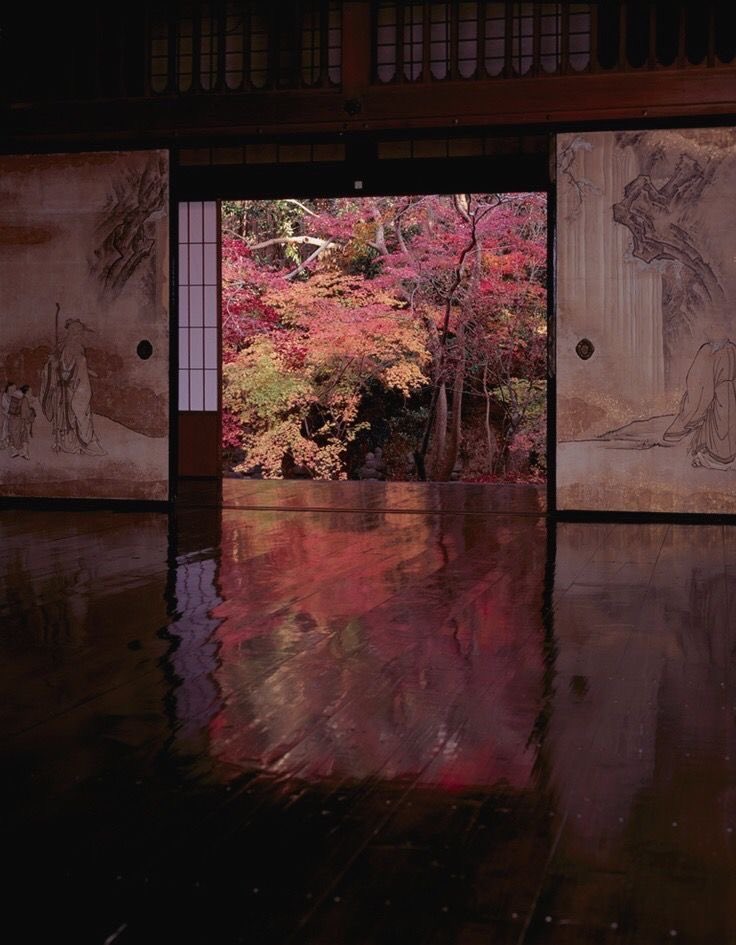 𝒍𝒖𝒏𝒂 tweet media