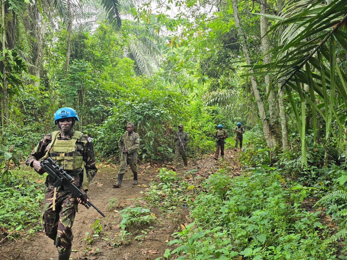 Fred MASTAKI Rex tweet media