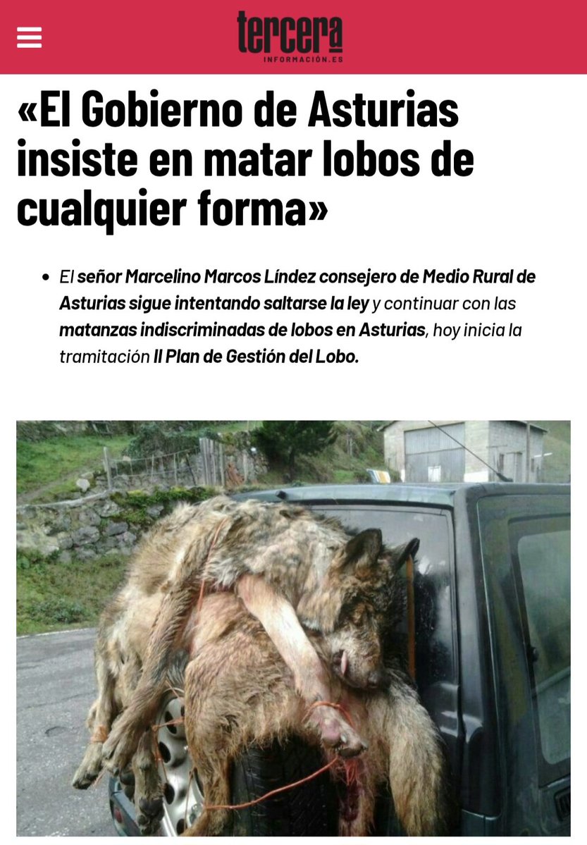 Marcoslrua tweet media