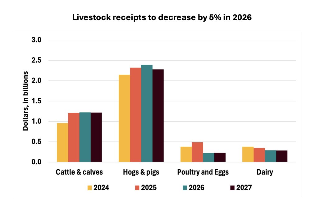 FarmPolicy's tweet image. 1/ In 2026, #Illinois #livestock #receipts are projected to decline $240 million (−5%) to $4.23 billion, after peaking at $4.47 billion in 2025.

From the @RaFFfinance: tinyurl.com/mex79mw4