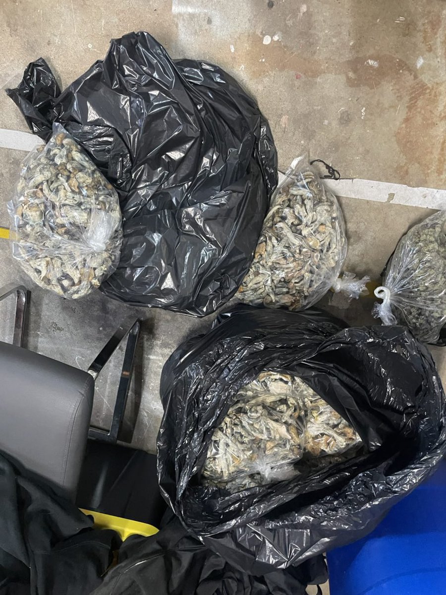 Fastdelivery tweet media