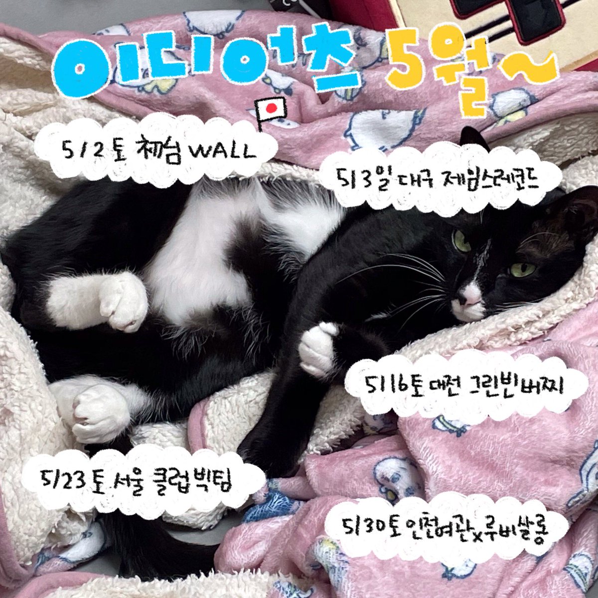 band_idiots's tweet photo. 이디어츠의 5월 예정 스케쥴을 알립니다 👻💜 https://t.co/Mc7SDK9o2V