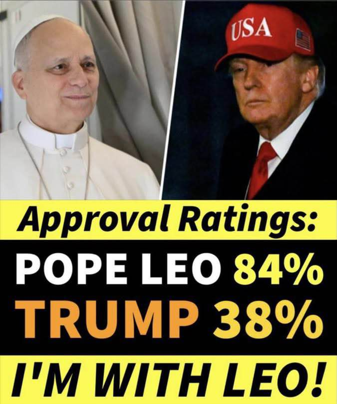 BigDaddy tweet media