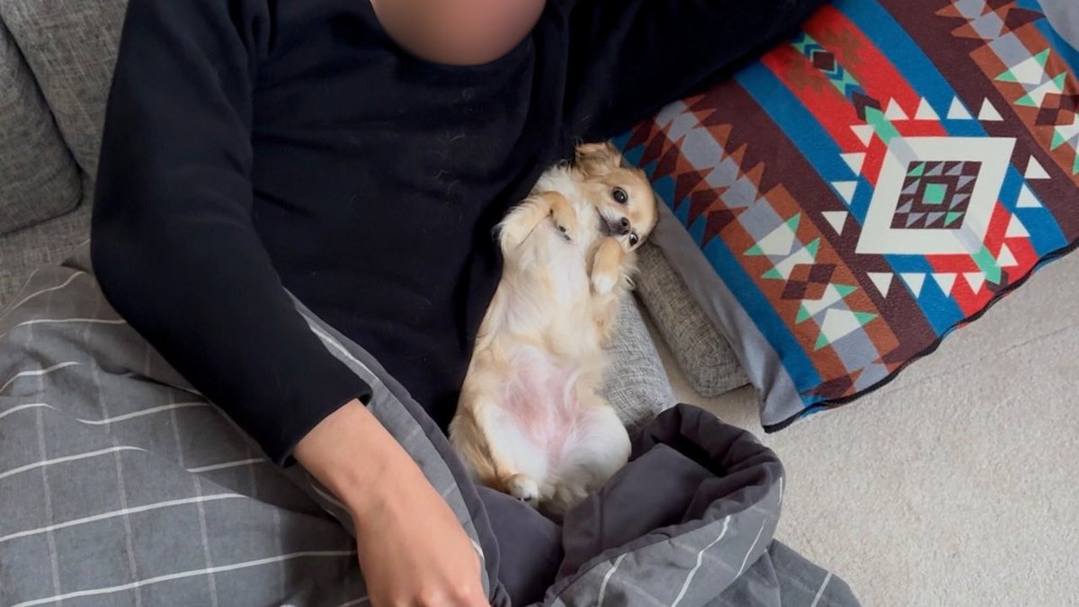 こたつを片付けるまであと1日