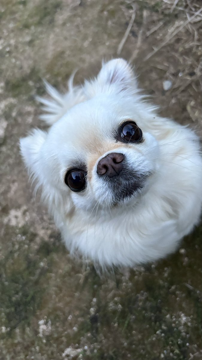 ココちゃんおやつ💕