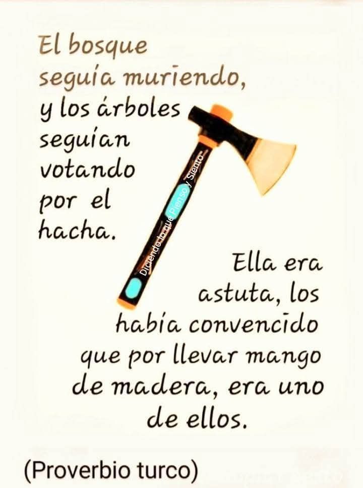 Dar el Salto tweet media