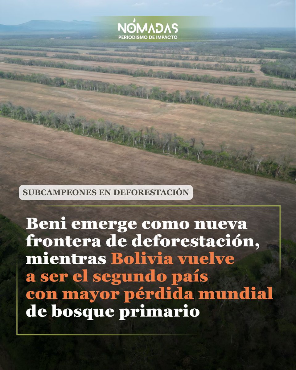Revista Nómadas tweet media