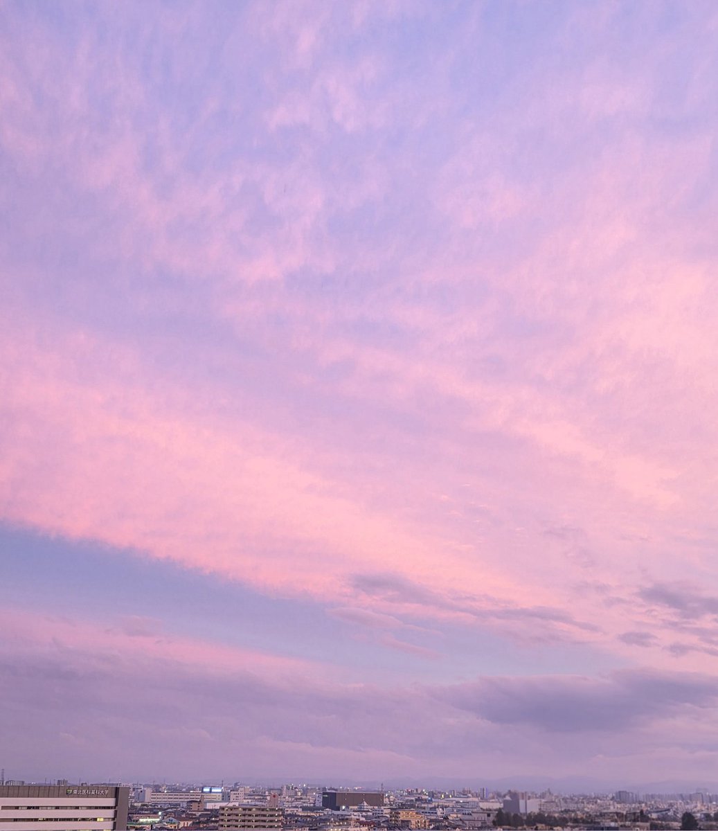 tea 𓂃 ⋆͛*͛ 𓇨𓍌 tweet media