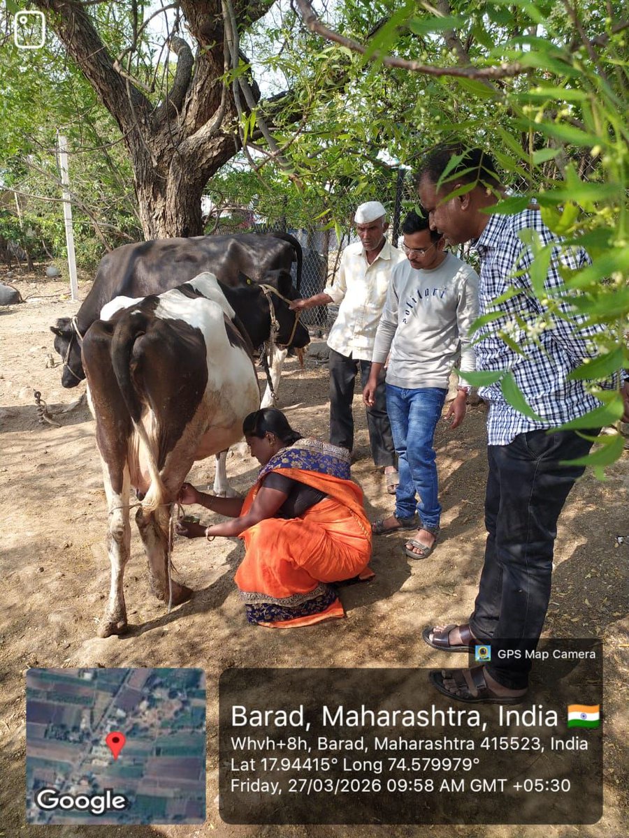 betterlivestock's tweet image. Barad , MH | #Livestock #VetCamp

Training camp held with Govind Milk. 14 farmers trained in EVP herbal remedies for mastitis &amp;amp; deworming to benefit their cattle and combat #AMR.

📞080693 75150
📱play.google.com/store/apps/det…

#veterinarycamp #mastitis #deworming #vetdoctor