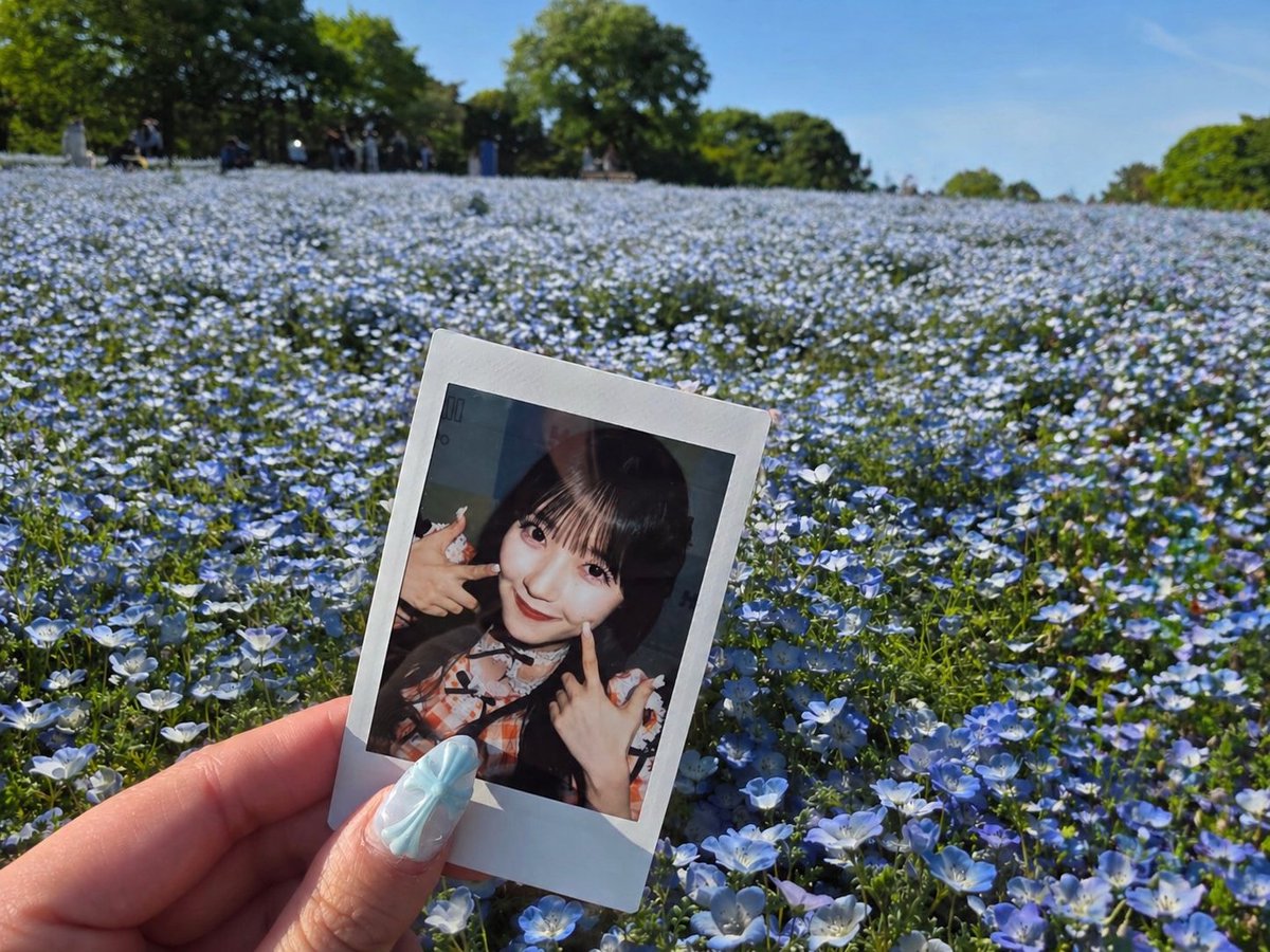 ⑅୨୧ 𝐌𝐈𝐀𝐊𝐈 ୨୧⑅ tweet media