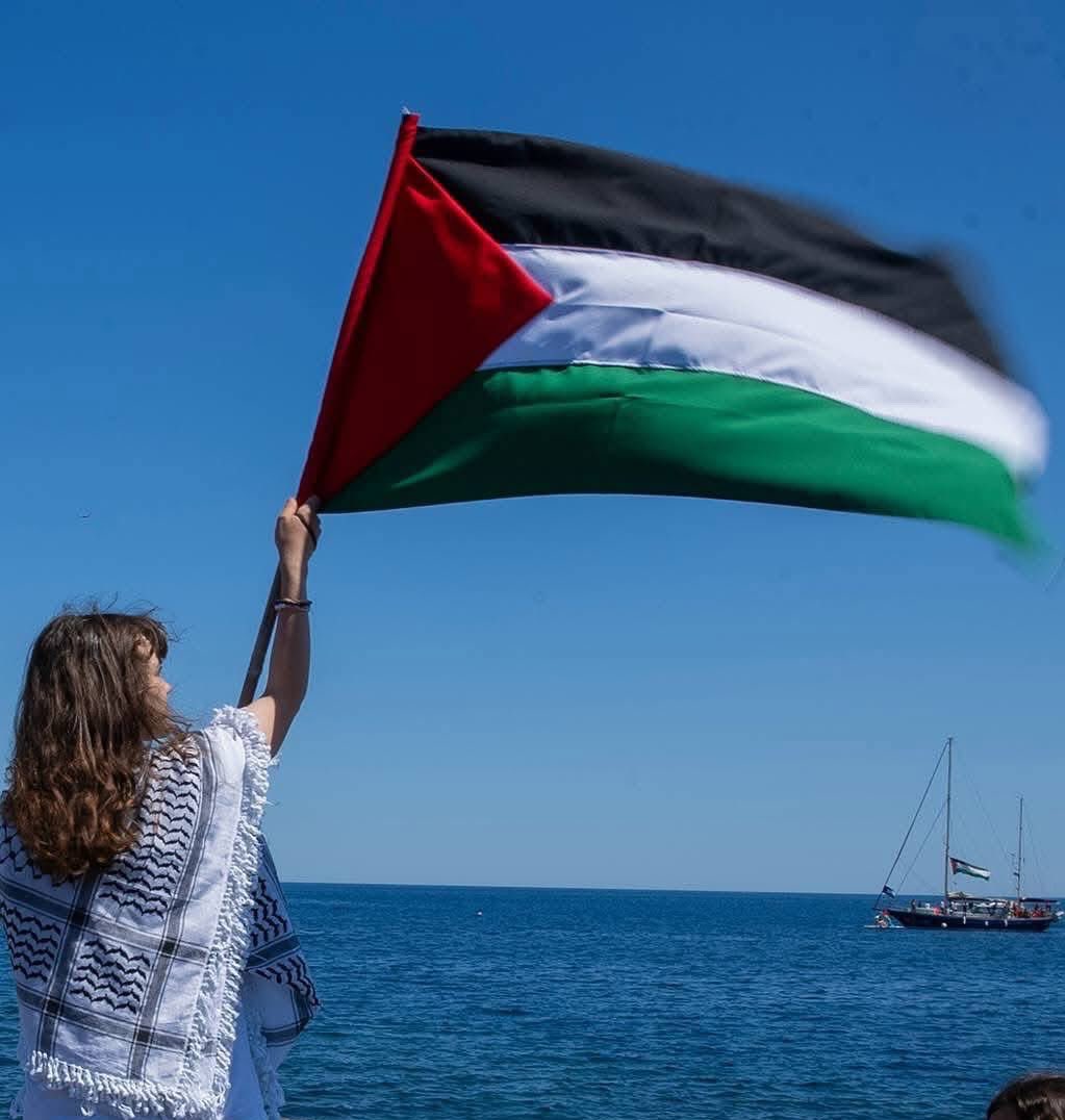 Palestine Daily News✌️🇵🇸✌️ tweet media