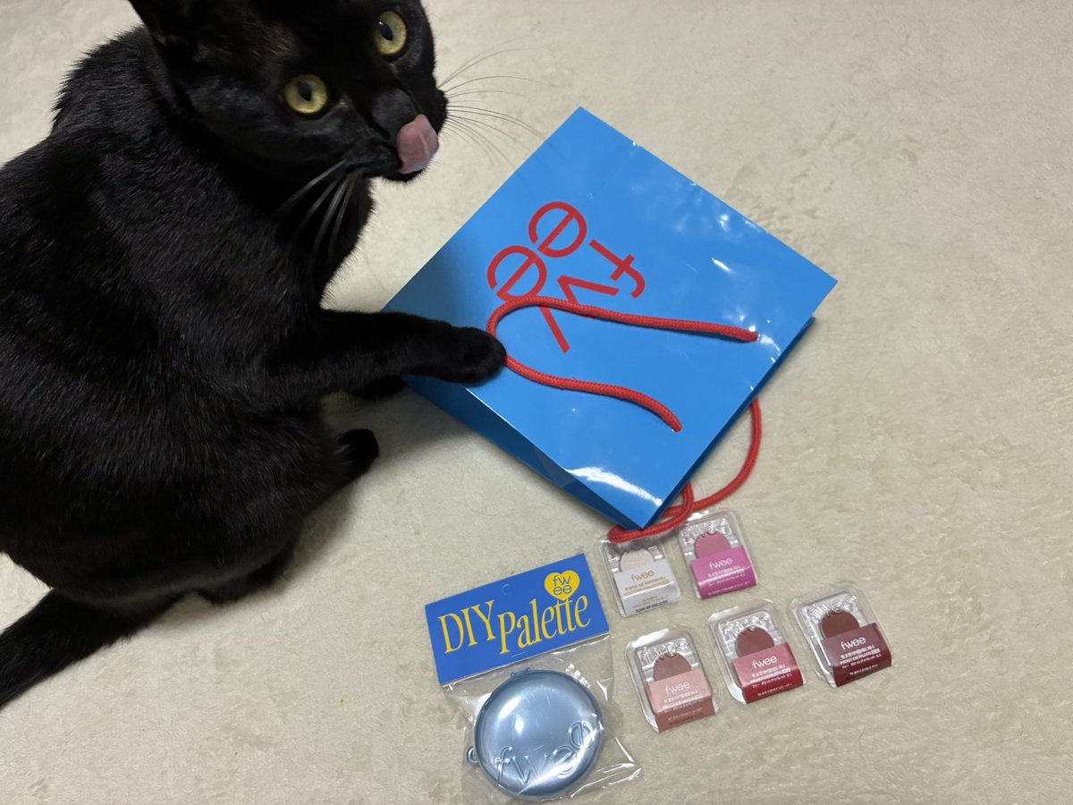 ©︎こげ tweet media