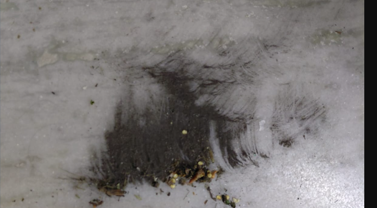 Rajani_Weather's tweet photo. #Vizagpollution #BlackDustVizag
Within just 2 hours of sweeping the floor, if this much black dust accumulates again, how much of it is going into our lungs?
Weather-wise when seasonal wind direction in Vizag changes to SW during summer and monsoon season, this menace peaks. The industries and coal yards to the SW of Vizag should be the major contributor to this pollution.
Though this issue has been highlighted by residents since several years, no effective prevention measures have been taken so far. 
Given that this black dust could be a combination of Coal dust + several other mineral pollutants, chronic inhalation of these can cause several dangerous lung diseases including COPD. 
This is a significant public health risk and urgent preventive action is the need of the hour.
Requesting authorities to take cognizance of the situation and take suitable action.
@GVMC_VISAKHA @gvmcommissioner @AP_PCB @CPCB_OFFICIAL @vptIndia @vizagcollector @Ketangargmickey @APDeputyCMO @AndhraPradeshCM
